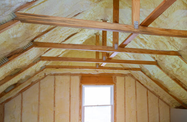 Best Home Insulation Services  in Breese, IL
