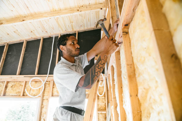Best Best Insulation Companies  in Breese, IL
