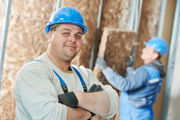 Best Fiberglass Insulation  in Breese, IL
