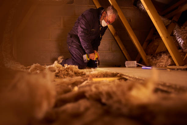 Best Insulation for New Construction  in Breese, IL